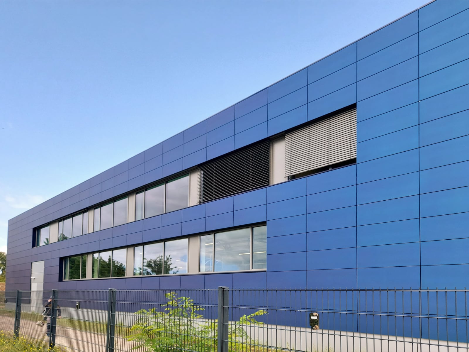 Ferdinand Braun Institut